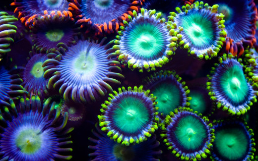 1015228 (a): :2880x1800